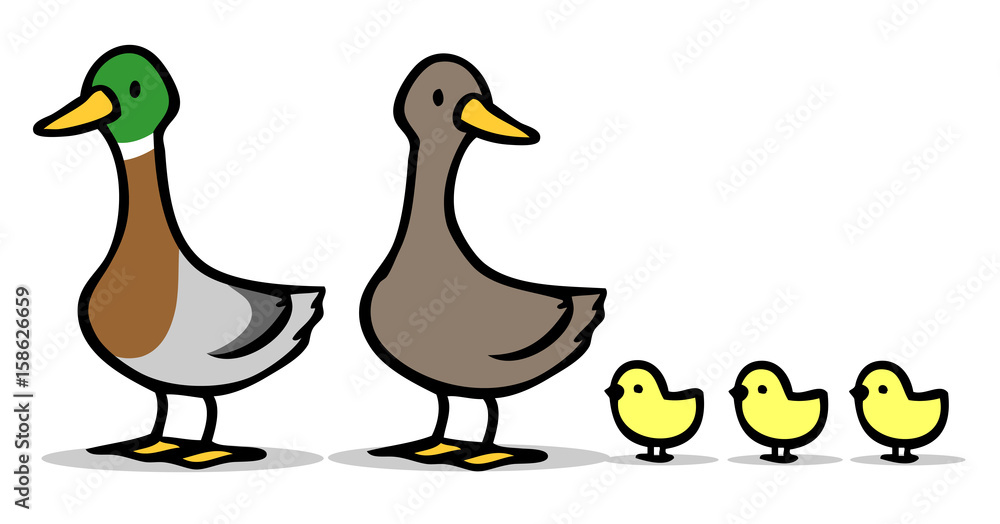 Familie Cartoon Enten mit Küken Stock Illustration | Adobe Stock