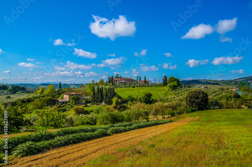 Fototapeta Naklejka Na Ścianę i Meble -  Beautiful landscape in Tuscany, Italy