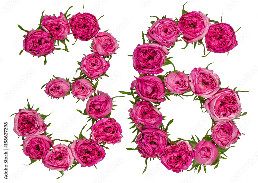 Arabic numeral 36, thirty six, from red flowers of rose, isolated on white background Arabic numeral 36, thirty six, from red flowers of rose, isolated on white background