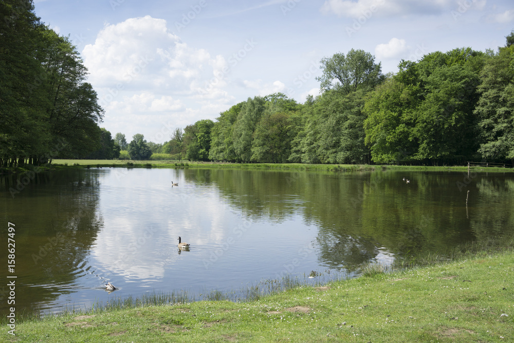 Teich im Naturpark Hohe Mark, Münsterland, Nordrhein-Westfalen, Deutschland, Europa Teich im Naturpark Hohe Mark, Münsterland, Nordrhein-Westfalen, Deutschland, Europa