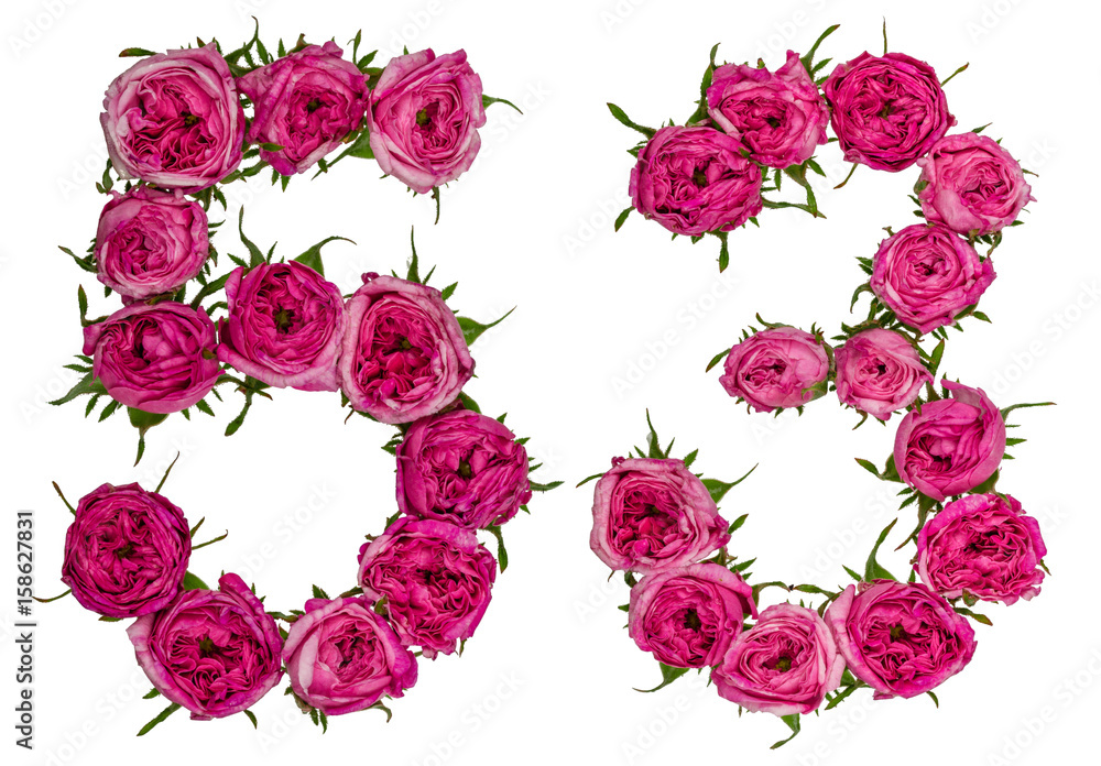 Arabic numeral 53, fifty three, from red flowers of rose, isolated on white background Arabic numeral 53, fifty three, from red flowers of rose, isolated on white background