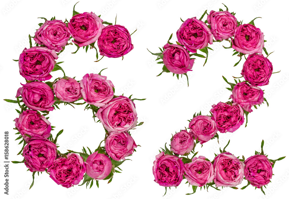 Arabic numeral 62, sixty two, from red flowers of rose, isolated on white background