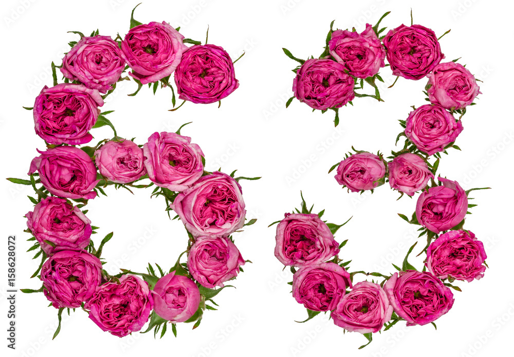 Arabic numeral 63, sixty three, from red flowers of rose, isolated on white background Arabic numeral 63, sixty three, from red flowers of rose, isolated on white background