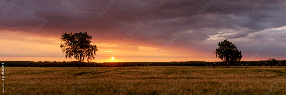 Sonnenaufgang über dem Getreidefeld
