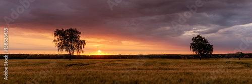 Sonnenaufgang über dem Getreidefeld © kelifamily