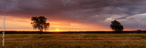 Sonnenaufgang   ber dem Getreidefeld