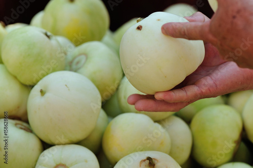 Honeydew Melon selling at agriculture fair