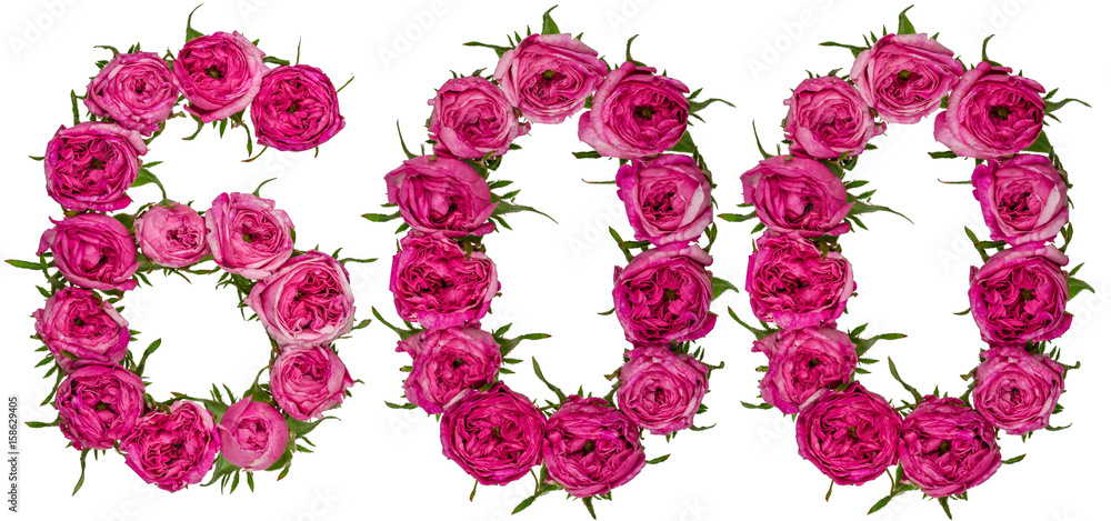 Arabic numeral 600, six hundred, from red flowers of rose, isolated on white background Arabic numeral 600, six hundred, from red flowers of rose, isolated on white background