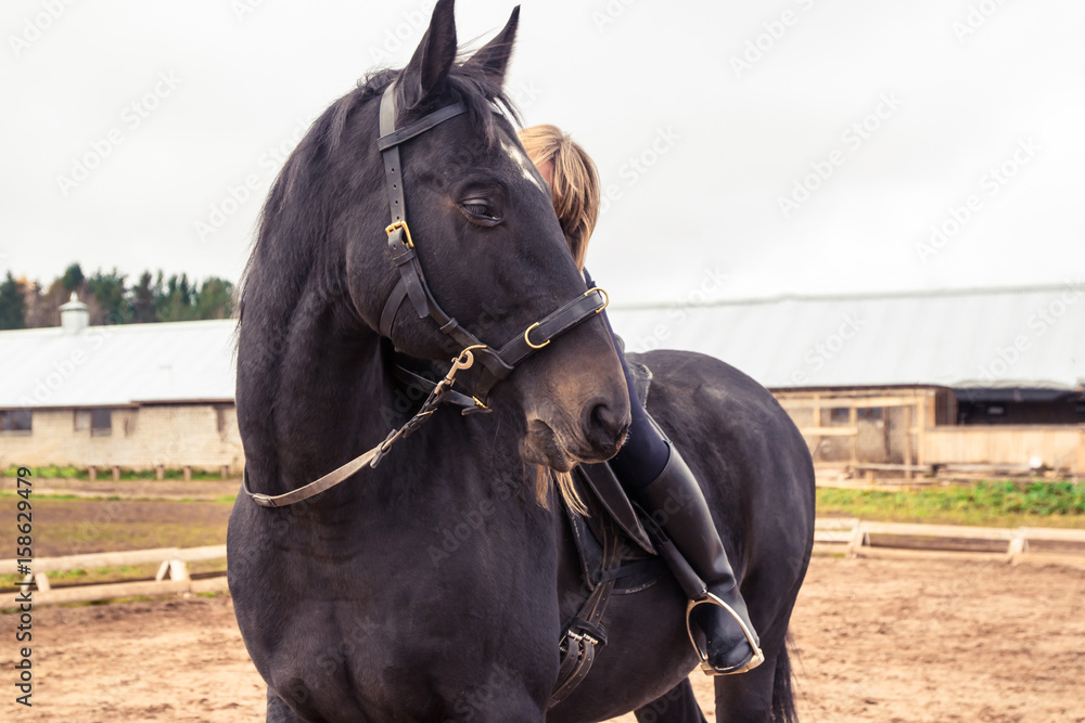 Fototapeta premium Girl and horse