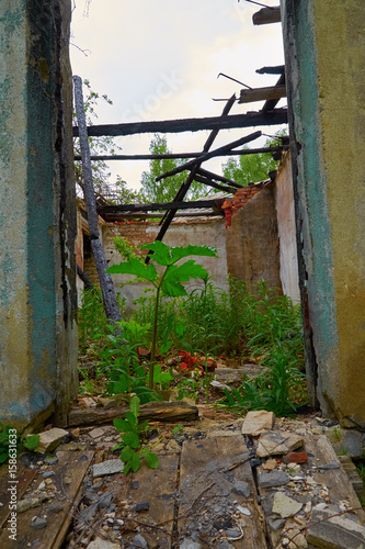 wrecked room in an old abandoned house