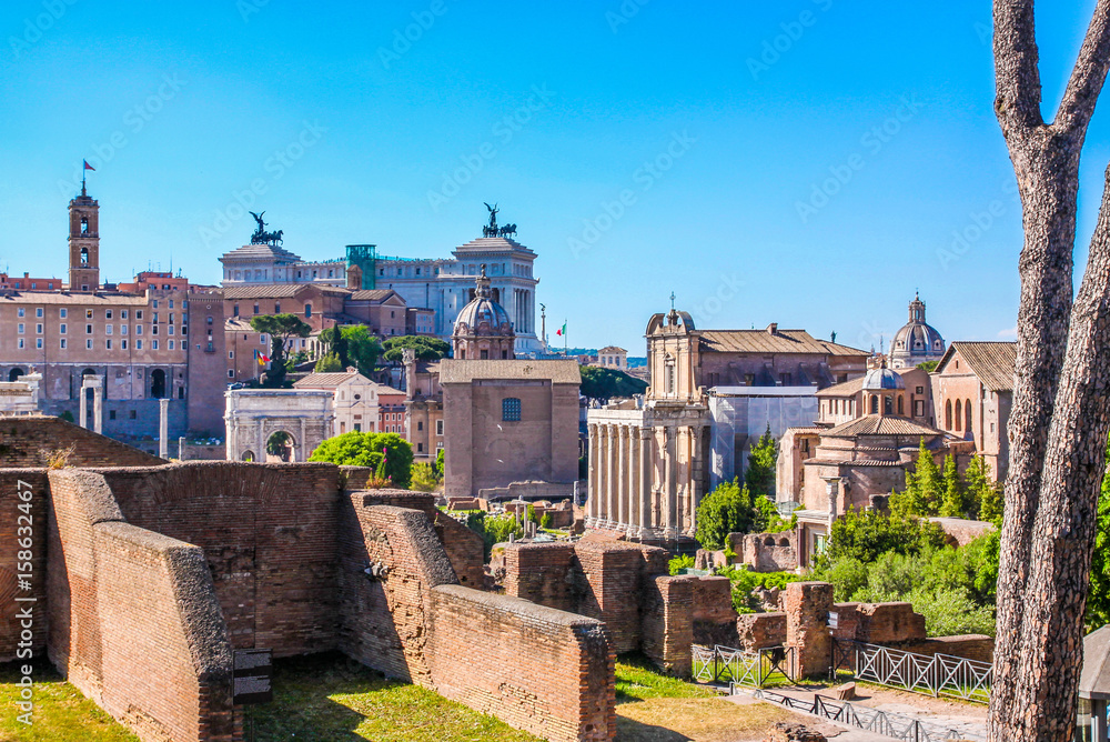 Roman Forum in Rome 