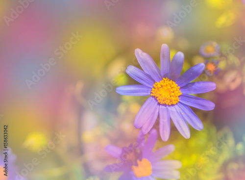 Beautiful blue flower around with colorful brush paint in summer