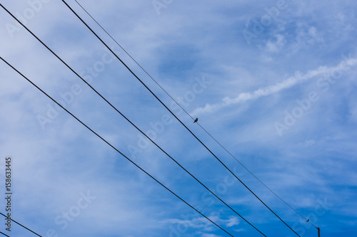 Wallpaper Mural Sky power cord Torontodigital.ca
