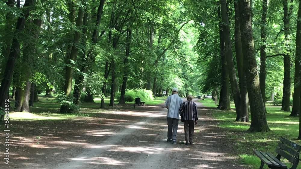 Senior couple enjoying walking in the summer Park Senior couple enjoying walking in the summer Park