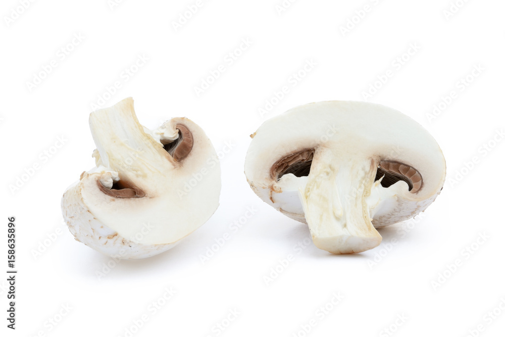 Fresh champignon mushrooms isolated on white background Fresh champignon mushrooms isolated on white background