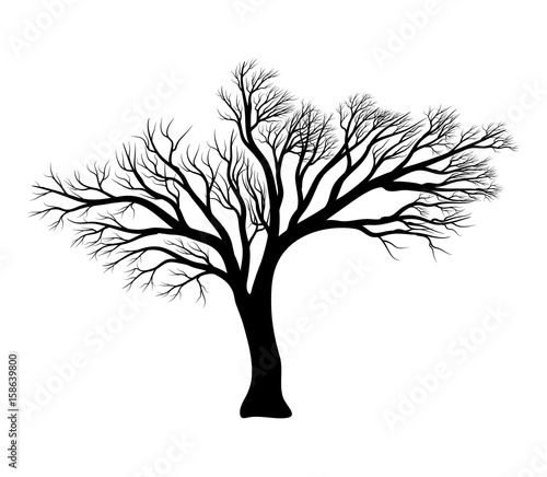 bare tree silhouette vector symbol icon design.