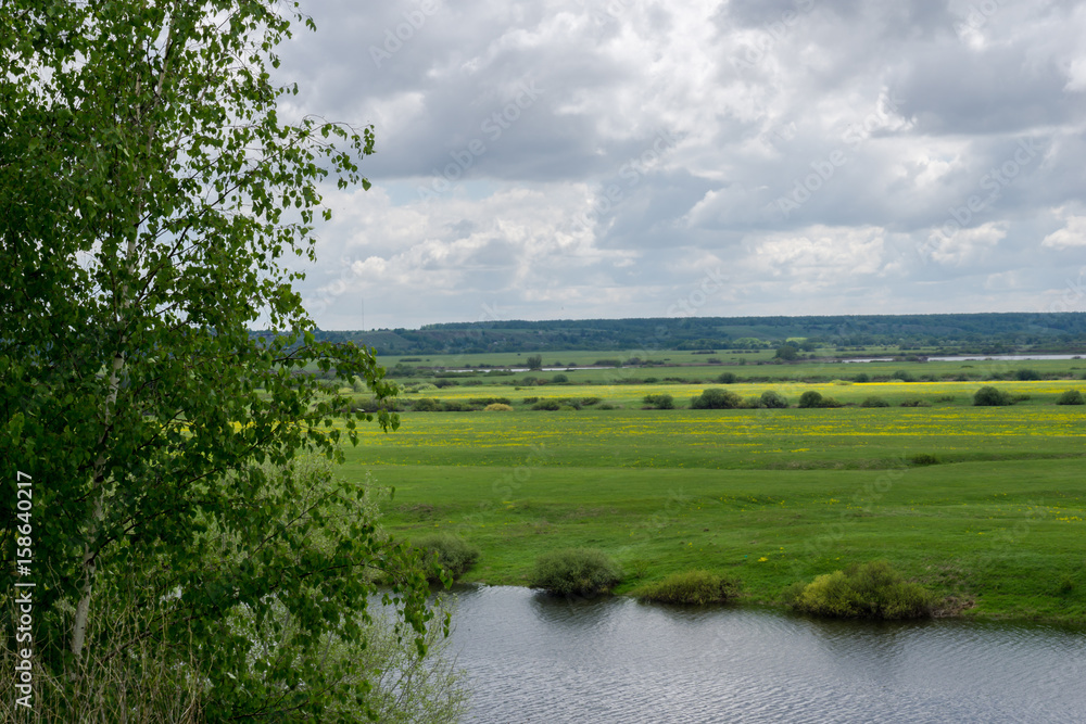 Fototapeta premium Green field on the river bank