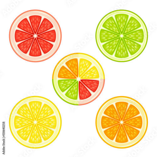 Various citrus fruits in a section on a white background