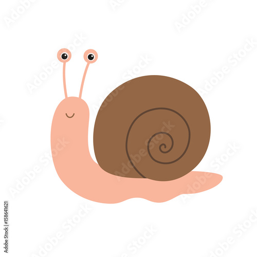 Cute snail cartoon