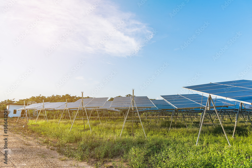 solar panel solar panel
