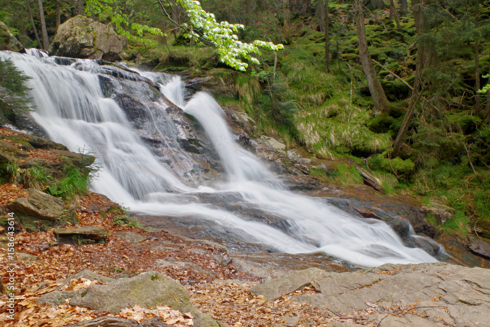 Fototapeta premium Falls