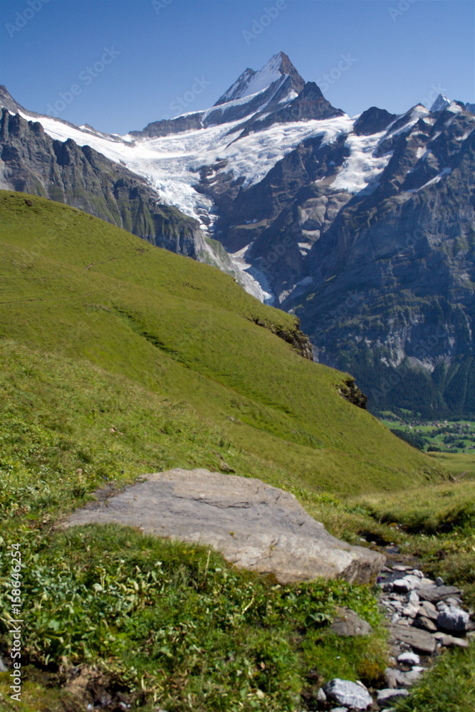 Scenic landscape of the Bernese Alps with the Schwarzhorn mountain - view from the summit First, Switzerland