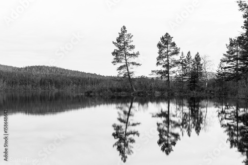 Finnish lapland