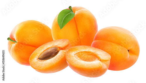 apricot isolated on white