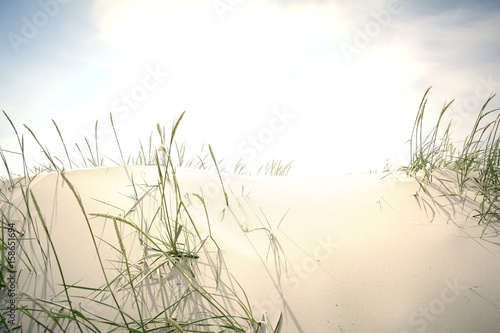 Düne im Sonnenlicht