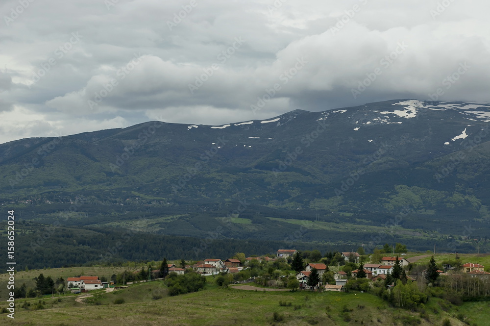 Residential district of bulgarian village Plana in forest and various trees with new leaf and blossom at springtime, Plana mountain, Bulgaria 