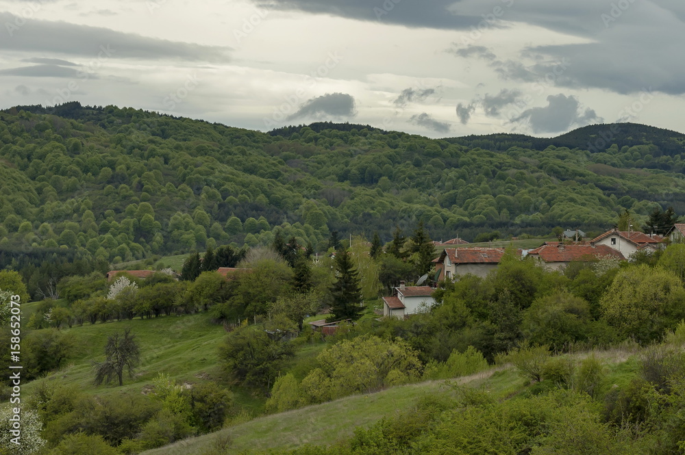 Residential district of bulgarian village Plana in forest and various trees with new leaf and blossom at springtime, Plana mountain, Bulgaria  