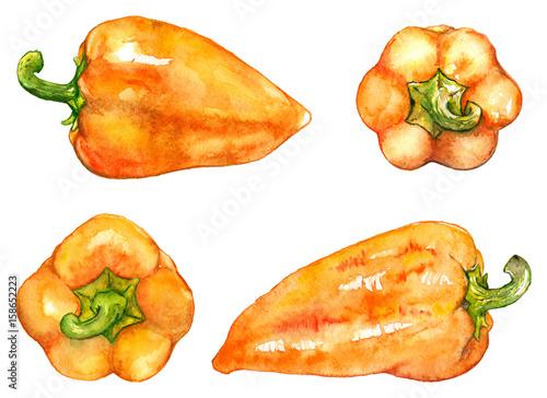 Fotografia Watercolor orange yellow sweet bell Bulgarian pepper vegetable set isolated
