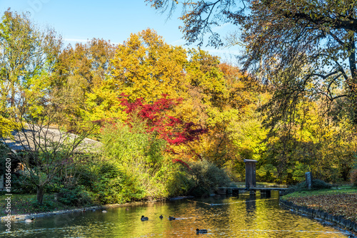 M  nchen - Englischer Garten