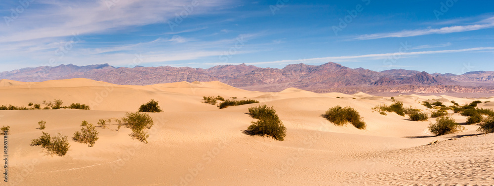 Naklejka premium Sand Dunes Stovepipe Wells Death Valley