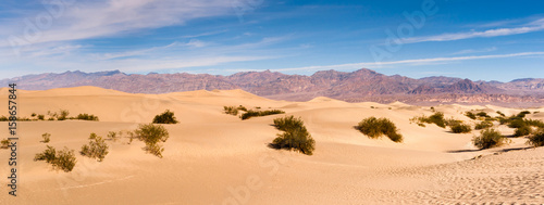 Fotografie Sand Dunes Stovepipe Wells Death Valley