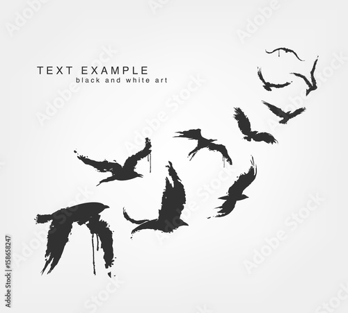 figures of wedge of birds in grunge style