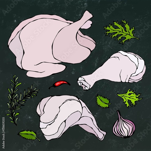 Chicken or Turkey Body Parts Set. Fowl Meat Fillets, Ham, Shank with Skin and Herbs. Isolated on a Black Chalkboard Background. Realistic Doodle Cartoon Style Hand Drawn Sketch Vector Illustration.