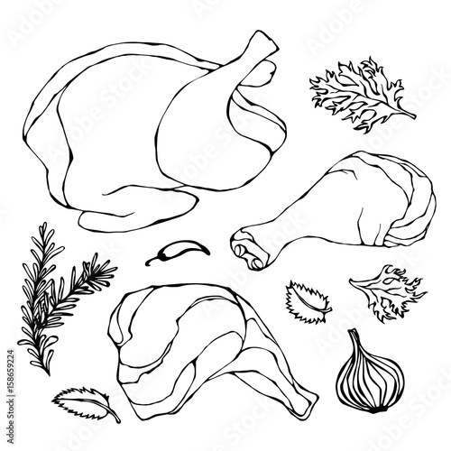 Chicken or Turkey Body Parts Set. Fowl Meat Fillets, Ham, Shank with Skin and Herbs. Isolated On a White Background. Realistic Doodle Cartoon Style Hand Drawn Sketch Vector Illustration.