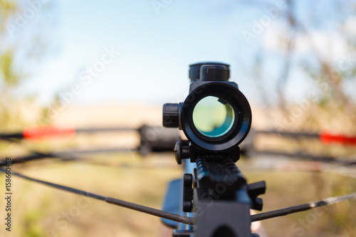 Fotografija Optical sight crossbow aiming from the first person on the background of the lake