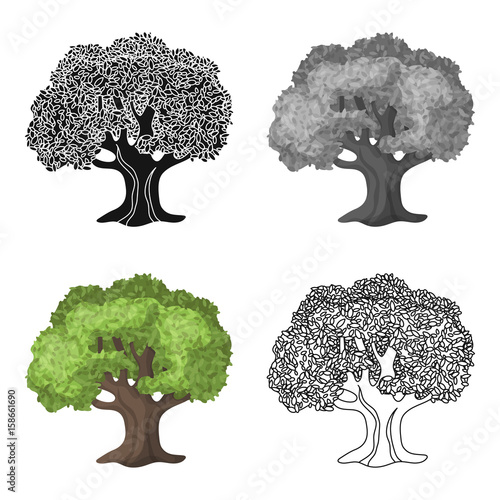 Olive Tree.Olives single icon in cartoon style vector symbol stock illustration web. photo