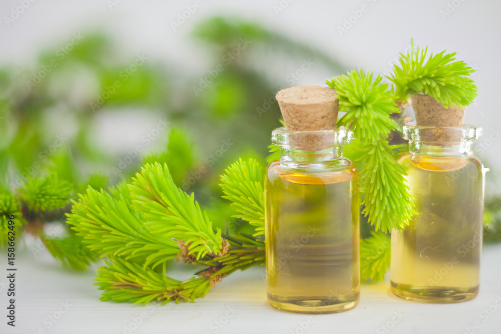 Essence of pine on table in beautiful glass jar Essence of pine on table in beautiful glass jar