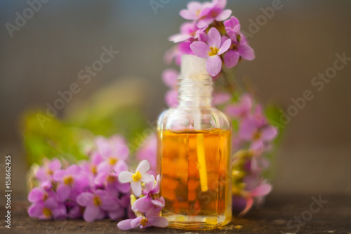 Essential oil of Arabis flower on a table in beautiful bottle
