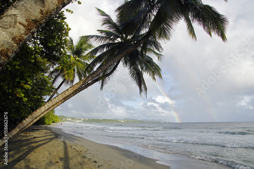 A rainbow above La Diamond beach  Martinique Island  Lesser Antilles