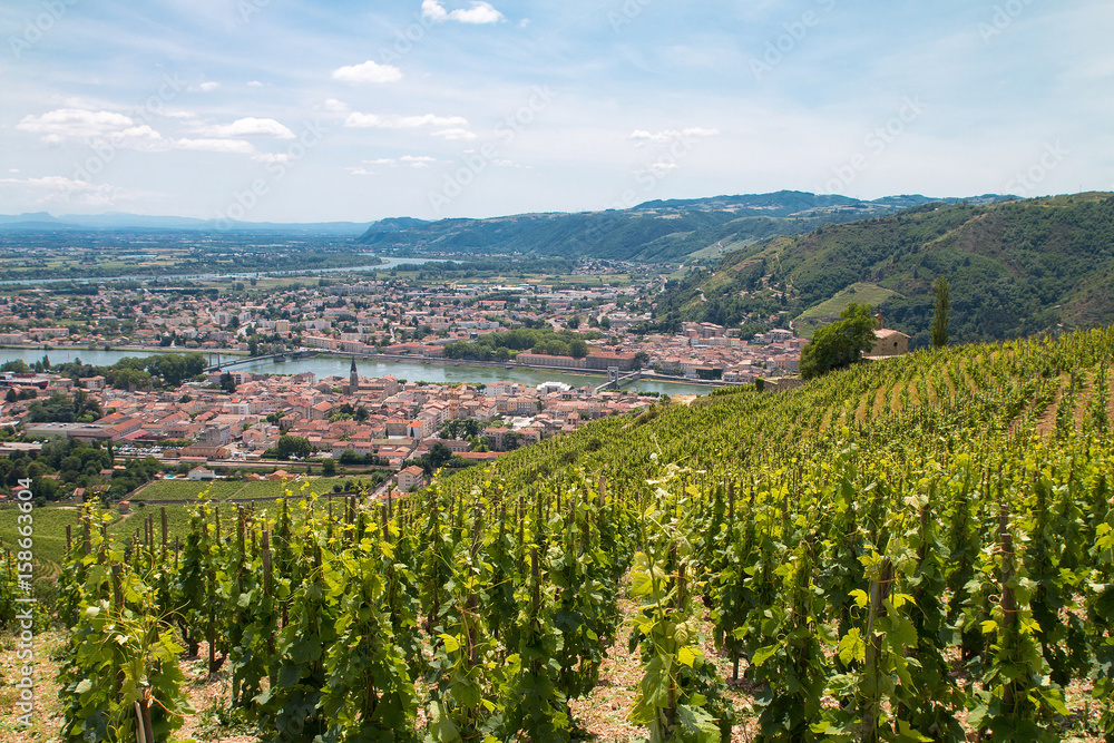 Tain l'Hermitage depuis le vignoble