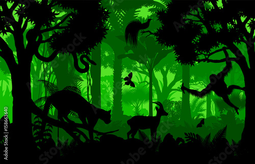 Vector evening indonesian tropical rainforest Jungle background with clouded leopard, gazelle, python, paradise bird and orangutan
