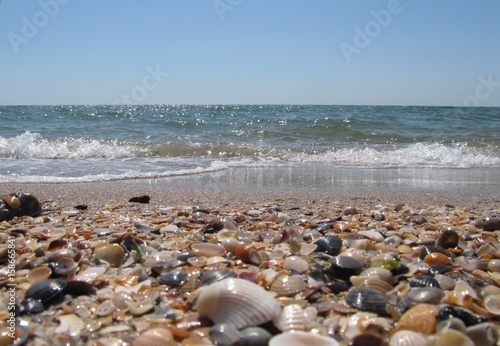 Beach and waves on the Black Sea, Odessa