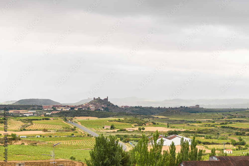 aerial views to la rioja vineyards, Spain