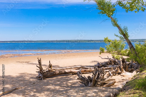 City Park  Berd spit  with a sandy coast. The confluence of the Ob and Berd