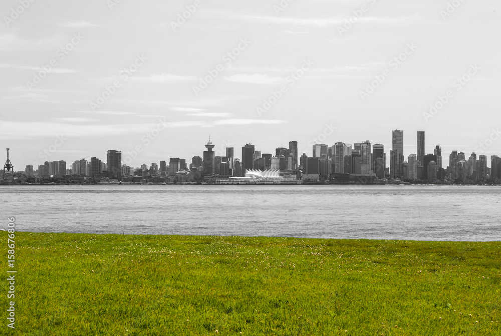 Fototapeta premium Skyline