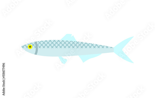 Herring fish icon. Natural fresh food, healthy food vector illustration isolated on white background in flat design.